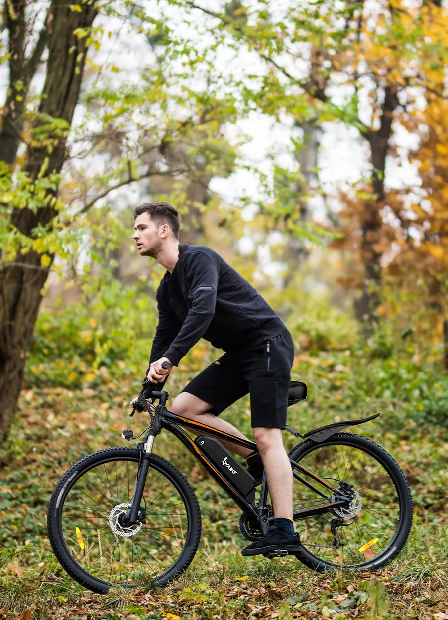A_man_is_riding_an_Electric-Bike-IWAFO-IE3_on_the_wild_grassland